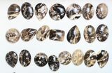 Lot: Polished Madagascar Black Opal Pendants - Pieces #138977-2